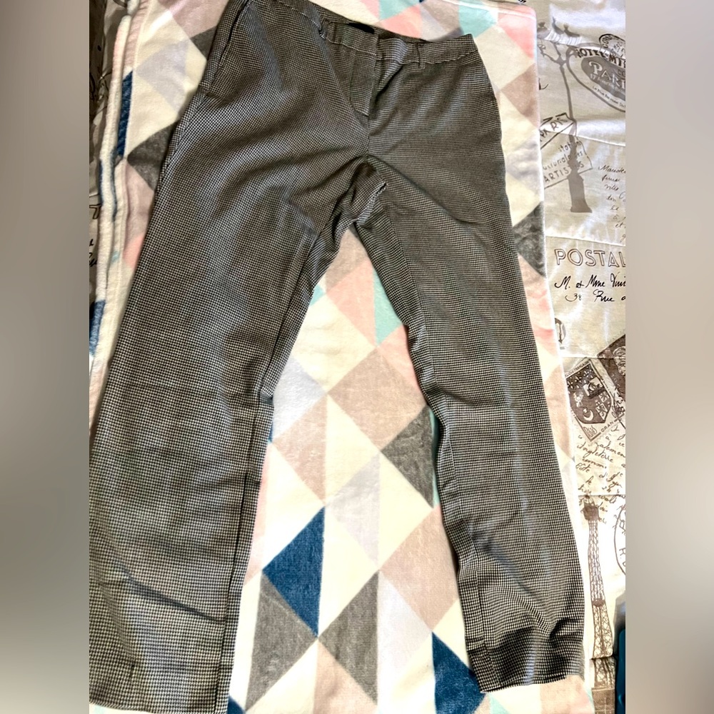 Focus 2000 Womens dress pants‎